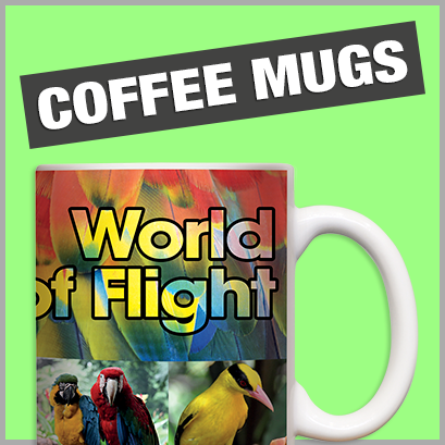 Promotional Coffee Mugs with no MOQ